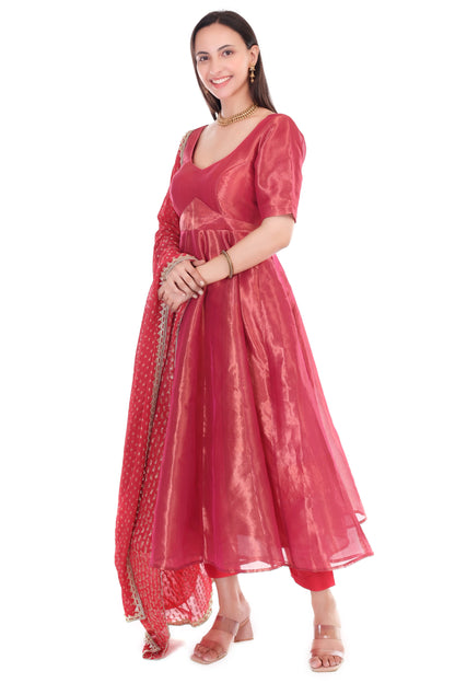 Tissue silk anarkali set with georgette dupatta