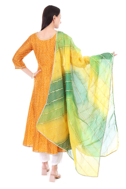 Taffeta Silk Anarkali Set with Dupatta